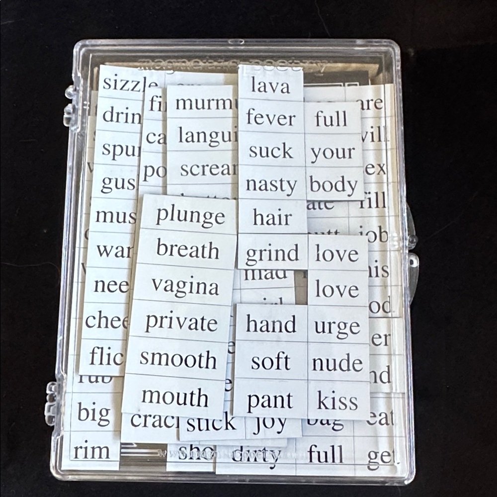 Vintage magnetic, erotic poetry kit - Picture 4 of 5